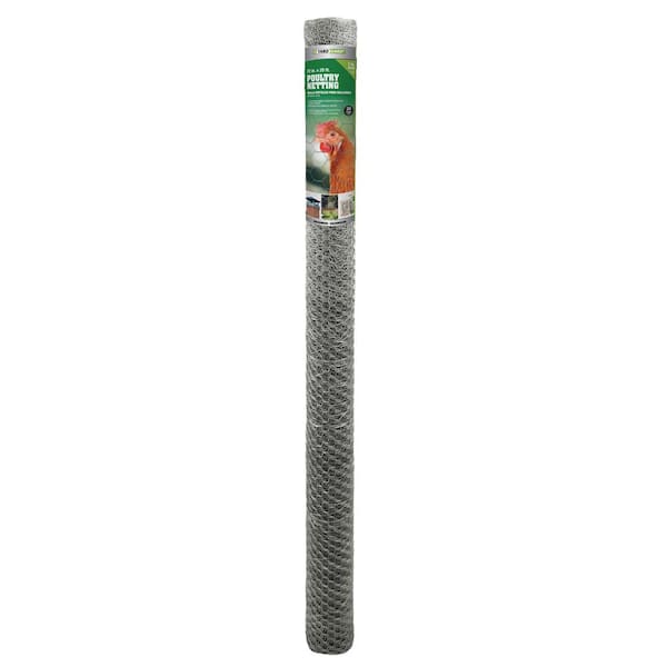 6 ft. x 25 ft. 20-Gauge Poultry Netting
