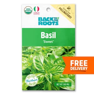 Organic Sweet Basil Seed (1-Pack)