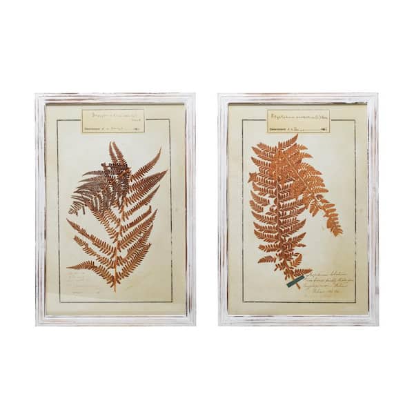 Storied Home Styles Botanical Ferns Wood Framed Nature Art Print Wall Decor 25.25 in. x 17.25 in. (Set of 2)