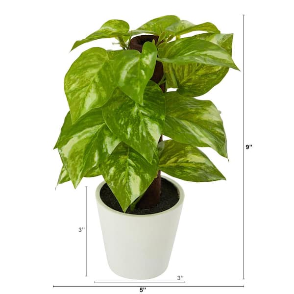 Fake Pothos Vines Plant - Faux Vine Plant