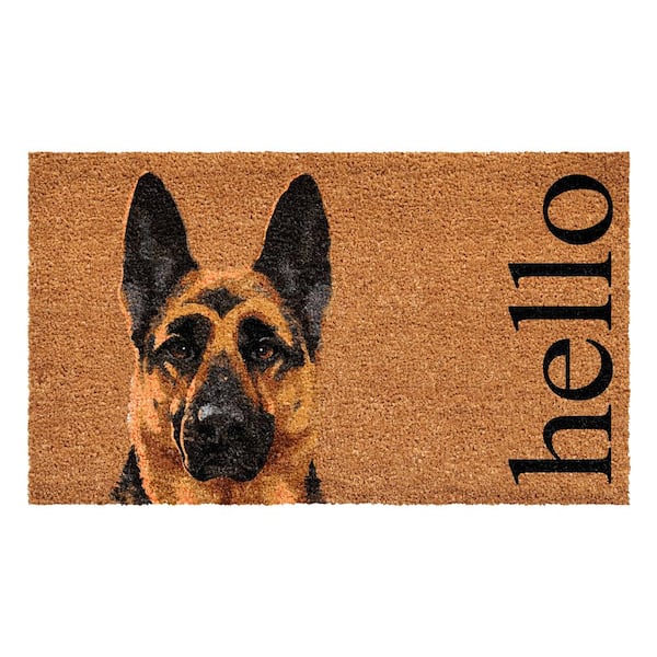 MIXDING You and Me and The Dogs Camper Entrance Door Mat 17x30 Inch Doormats