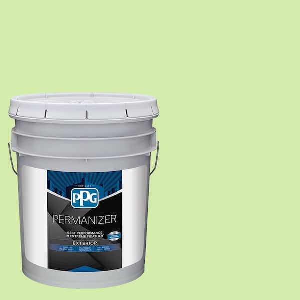 5 gal. PPG1221-4 Faith Satin Exterior Paint