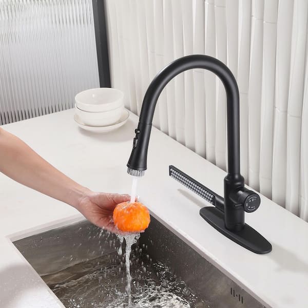 18.62 in. H Single-Handle Fixed Pull Down Kitchen Faucet with Side Sprayer in Matte Black