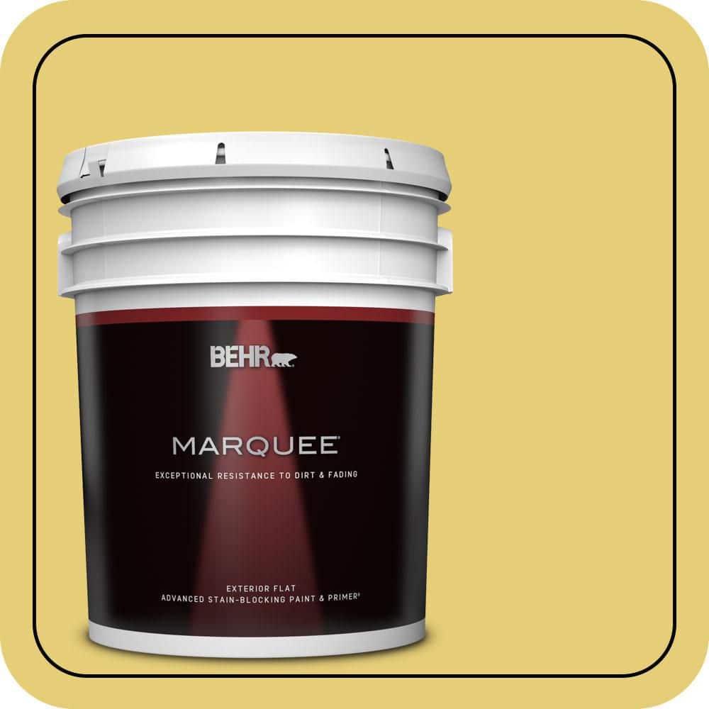 5 gal. #P320-5 Green Papaya Flat Exterior Paint & Primer price history on PriceWatchPro