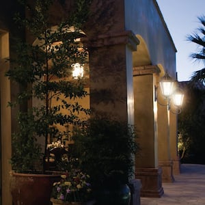 Royal Bulb Series 1-Light Black Outdoor Integrated LED Solar Wall Sconce
