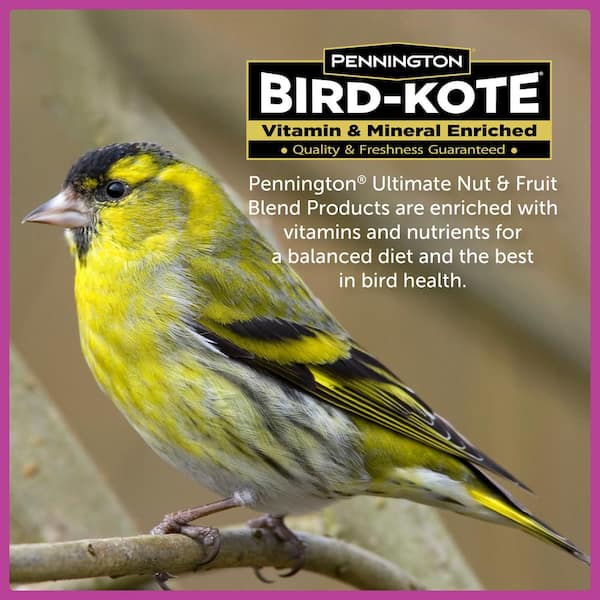 Great Value Fruit & Nut Bird Food 4kg 