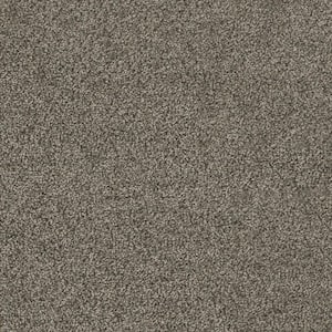 Moonlight  - Gaze - Gray 32 oz. SD Polyester Texture Installed Carpet