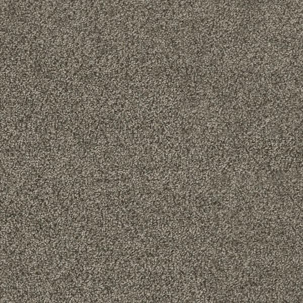 Home Decorators Collection Moonlight  - Gaze - Gray 32 oz. SD Polyester Texture Installed Carpet