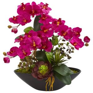 Indoor Phalaenopsis Orchid and Mixed Succulent Garden Artificial Arrangement in Black Vase