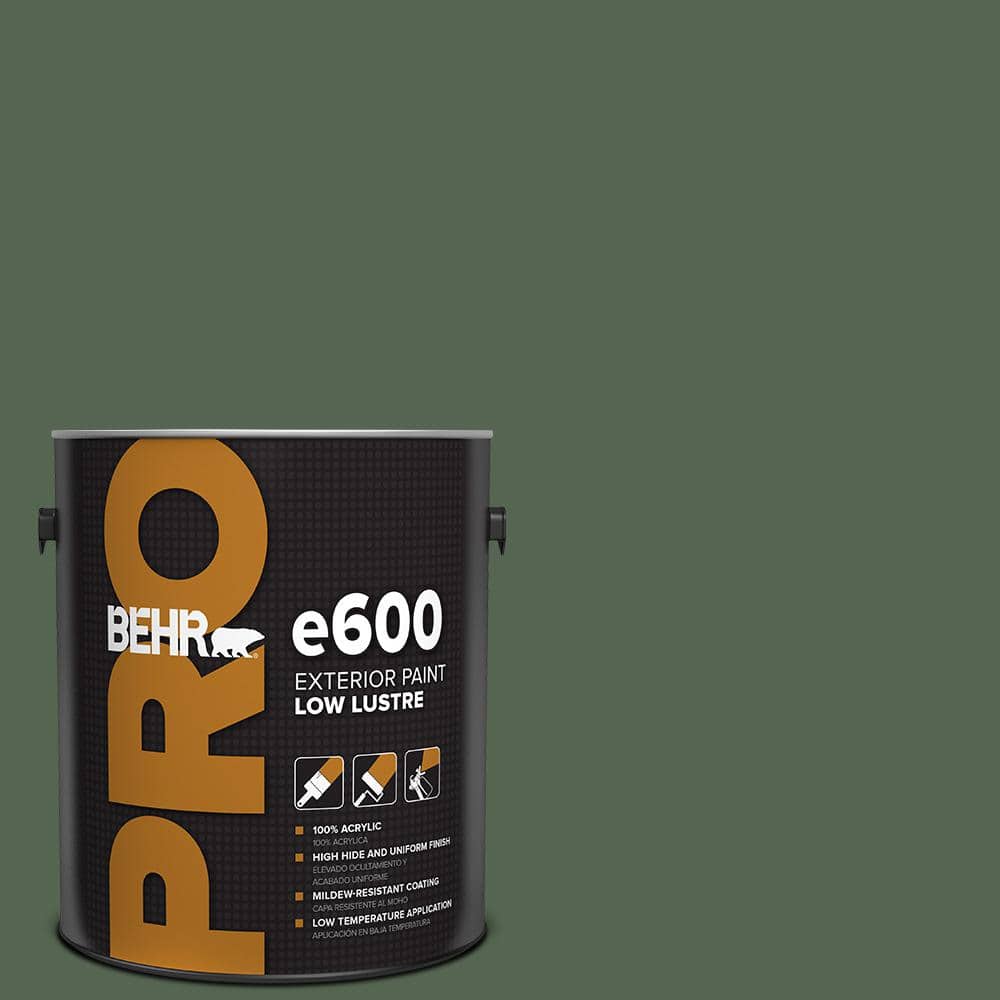1 gal. #PPU11-19 Lakeside Pine Low Luster Exterior Paint price history on PriceWatchPro