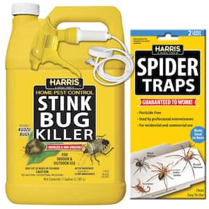 1 gal. Stink Bug Killer and Spider Trap Value Pack