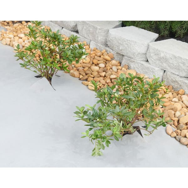 Vigoro 6 ft. x 100 ft. Matrix Grid Landscape Fabric VPNM610085