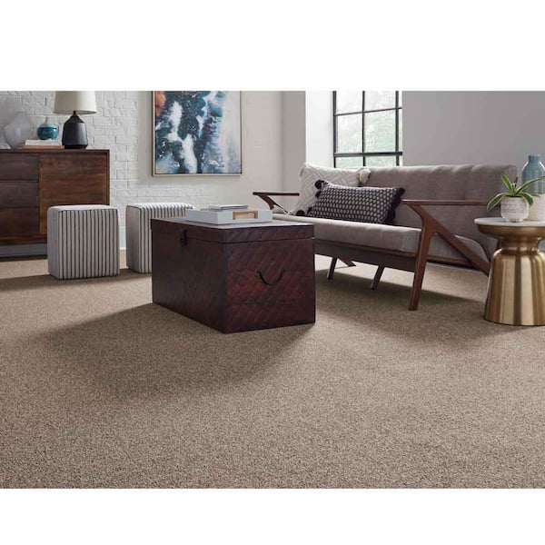 Bradworth  - Outback - Beige 15 ft. 31 oz. Polyester Loop Installed Carpet