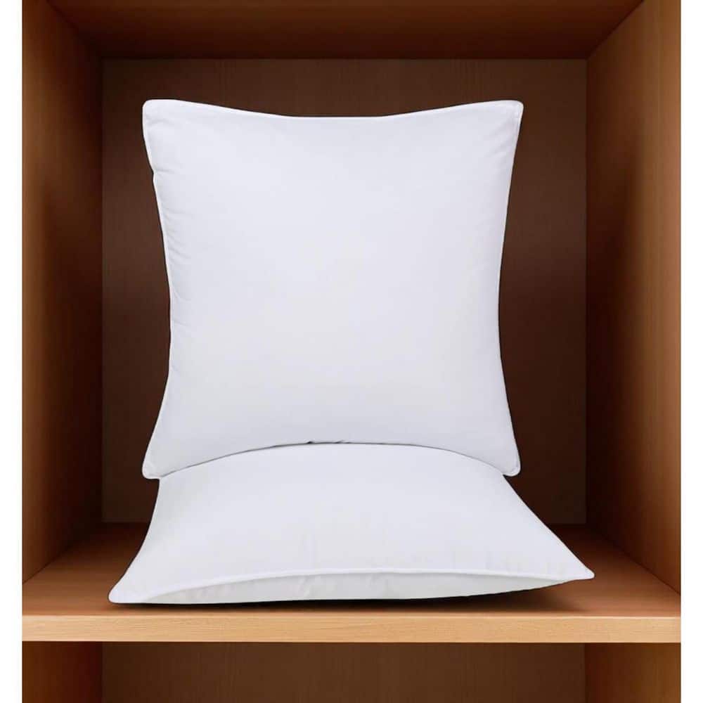 Set of Two Microfiber Down Alternative Medium Hypoallergenic European Size Bed Pillows price history on PriceWatchPro