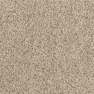 8 in. x 8 in. Texture Carpet Sample - Radiant Retreat II  - Color Coastal Cream