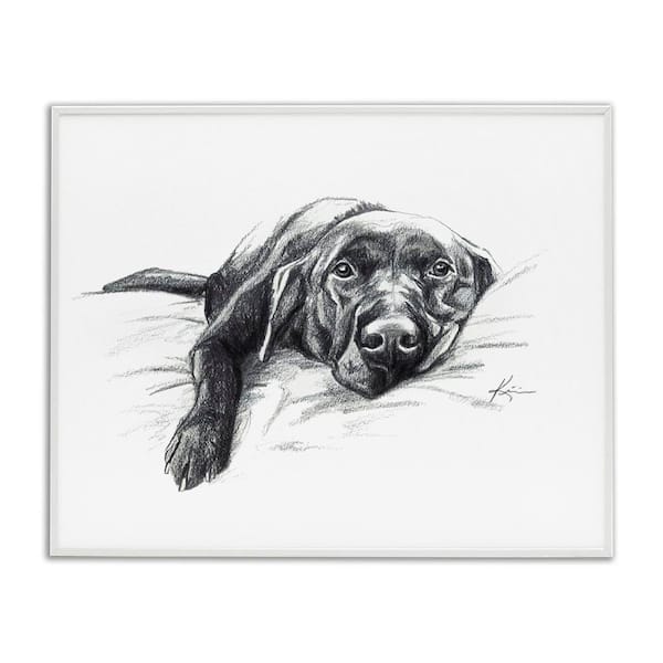 Naptime Black Labrador by Lindsay Kivi Fine Art White Framed Animal Giclee Art Print 16 in. x 20 in.