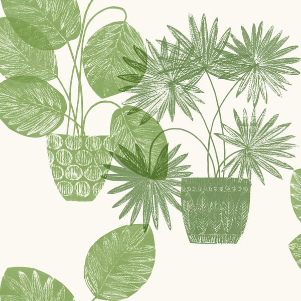 A-Street Prints Aida Green Potted Plant Wallpaper Sample