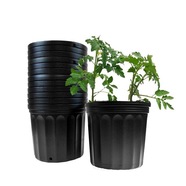Viagrow 2 Gal. Black Plastic Nursery Pots (12-Pack) VHPP200