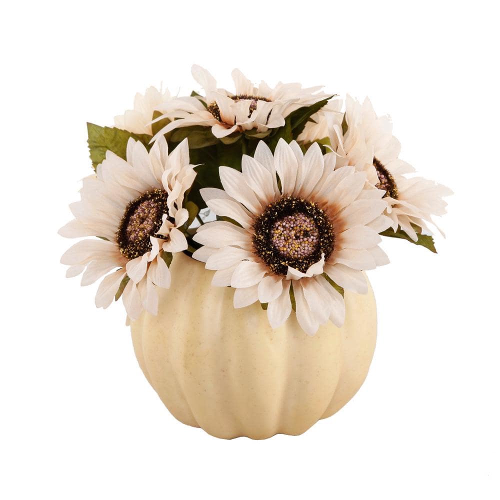 Sunflowers and deals White Pumpkin