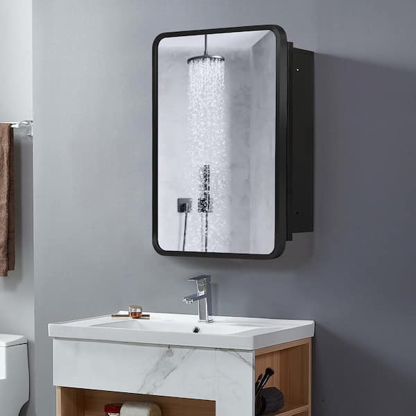 Dovelina 16 in. W x 24 in. H Rectangle Black Recessed/Surface Mount Medicine Cabinet with Mirror