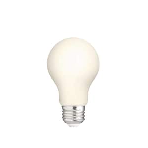 60-Watt Equivalent A19 Dimmable CEC Frosted Glass Filament LED Light Bulb Soft White (2-Pack)