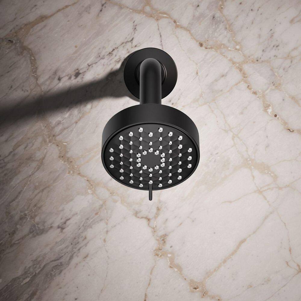 Matte Black Multi-Function Wall Mounted Shower Head