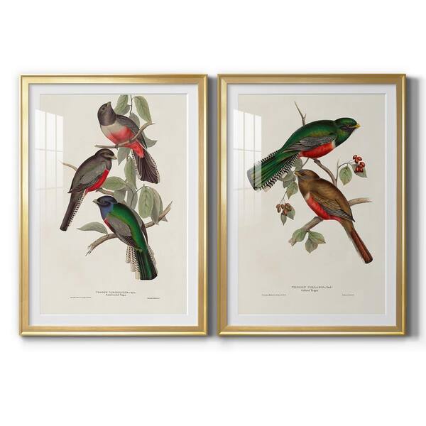 Wexford Home Elegant Trogons IX By Wexford Homes 2-Pieces Framed Abstract Paper Art Print 22.5 in. x 30.5 in.