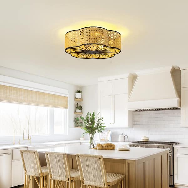 20 in. Indoor Black Boho Caged Ceiling Fan with Lights and Remote Low Profile Flush Mount Ceiling Fan 7 Clear Blades