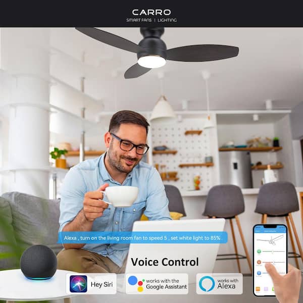 CARRO Trendsetter II 48 in. Integrated LED Indoor/Outdoor Black Smart Ceiling Fan with Light, Remote Works W/Alexa/Google Home