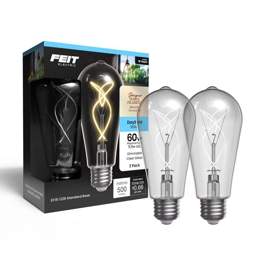 60W Equiv. ST19 Dim. Knot Thin White Filament Clear Glass E26 Vintage LED Straight Tapered Light Bulb, Daylight (2-Pack) price history on PriceWatchPro