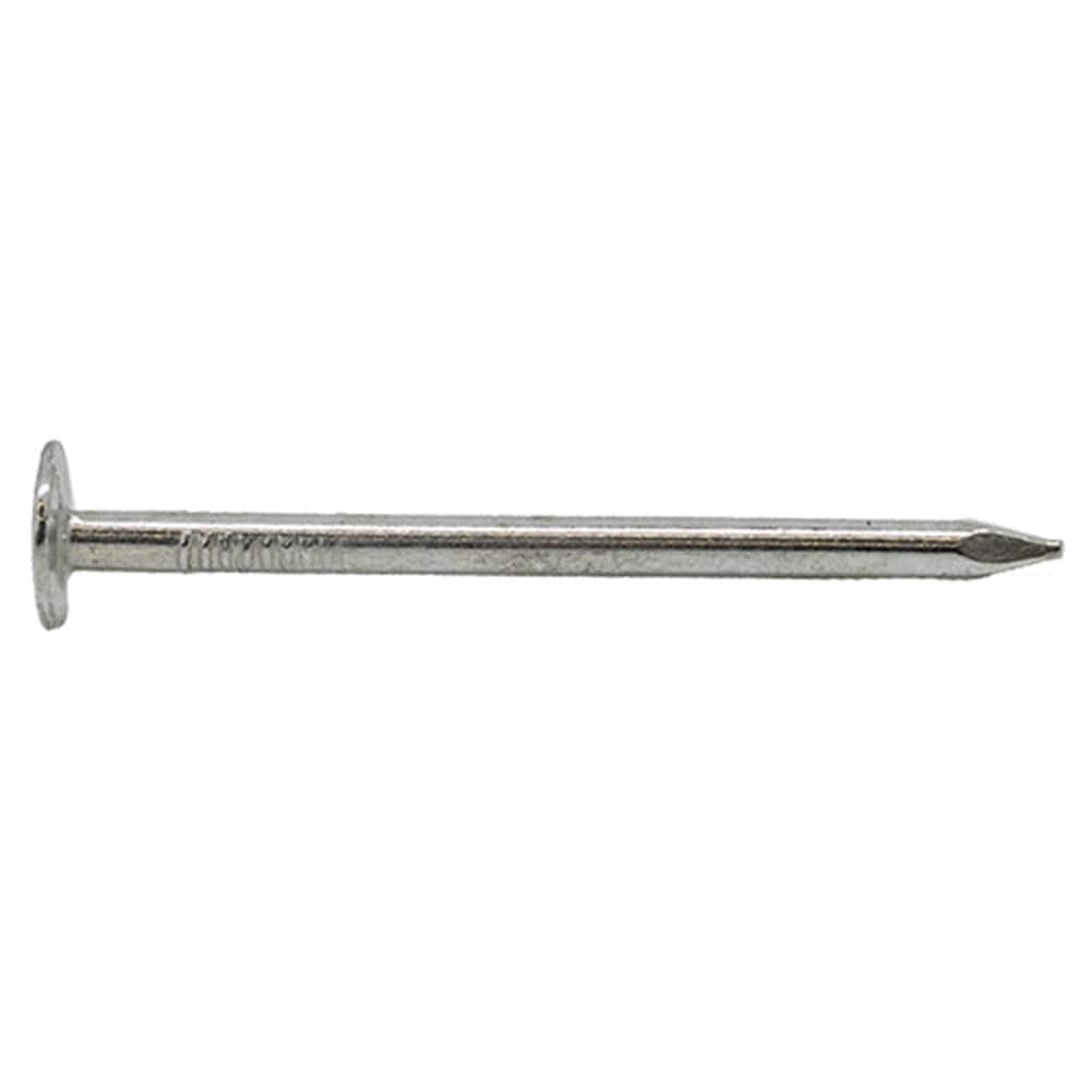 3/4 in. Electro-Galvanized Roofing Nail 1 lb. (323-Count)