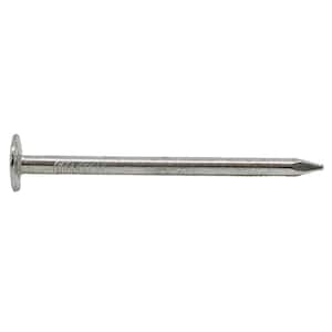 1 in. Electro-Galvanized Roofing Nail 1 lb. (261-Count)