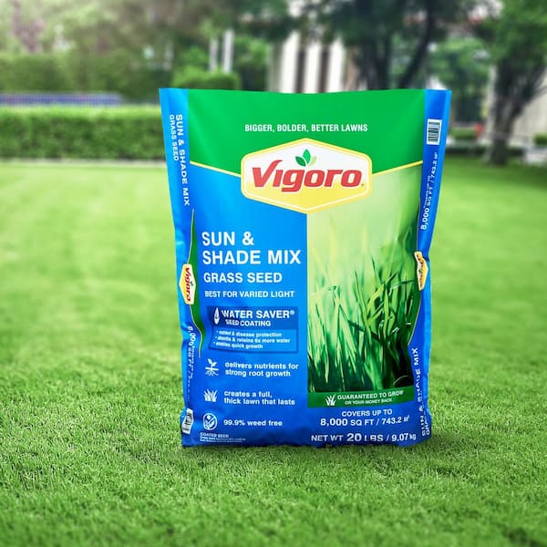 Vigoro 20 lbs. Sun and Shade Grass Seed Mix with Water Saver