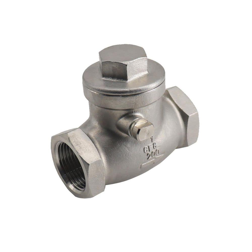 Guardian 1-1/4 in. 316 Stainless Steel 200 PSI Swing Check Valve ...