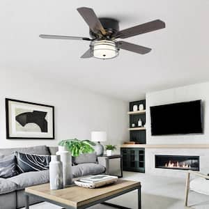 48 in. Indoor Low Profile Matte Black Cage Ceiling Fan with Light Kit and Remote Control