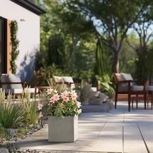 Modern 12 in. High Large Tall Square Light Gray Outdoor Cement Planter Plant Pots