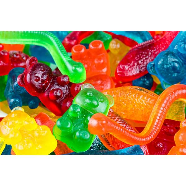 NEW Nostalgia Electric Giant Candy Gummy Bear Maker Fish and Worm Molds!