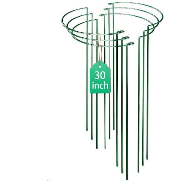 30 in. H Stainless Steel Plant Support Stakes, Heavy-Duty Half Round Peony Support for Outdoor Plants (6-Pack)