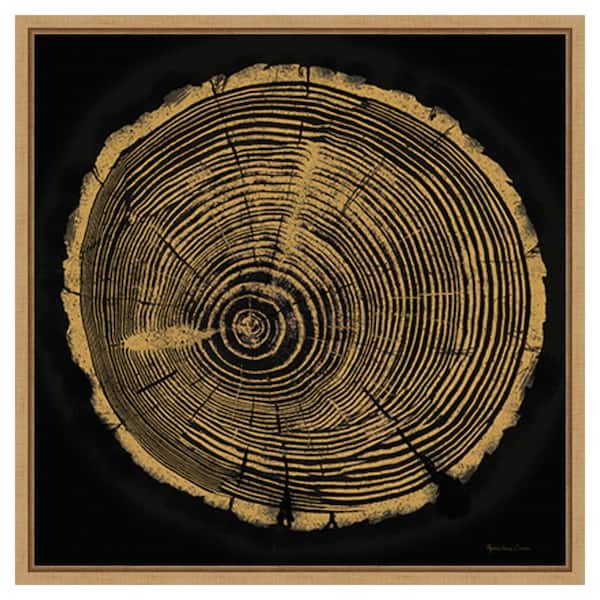 Amanti Art Tree Trunk I by Marie Elaine Cusson 22-in. W x 22-in. H. Canvas Wall Art Print Framed in Brown