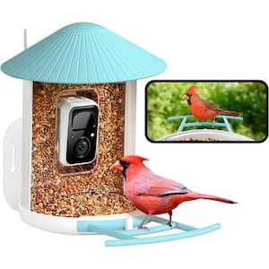 Blue Plastic Smart Bird Feeder 50 oz. with Camera, & Motion Detection