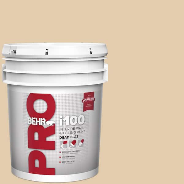 BEHR PRO 5 gal. #MQ3-44 Ancient Scroll Dead Flat Interior Paint