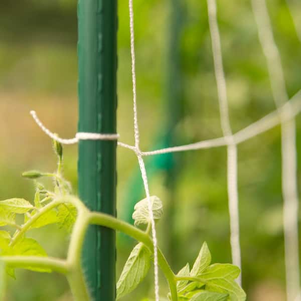 5 ft. H x 8 ft. W Net Garden Trellis