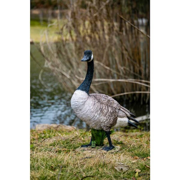 HI-LINE GIFT Standing Canada Goose Garden Statue 87662 The