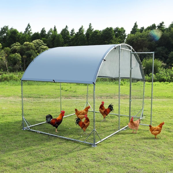 Tunearary 9.2 ft. x 6.2 ft. x 6.5 ft. Outdoor Metal Curved Roof Walk-in Chicken Coop with Waterproof