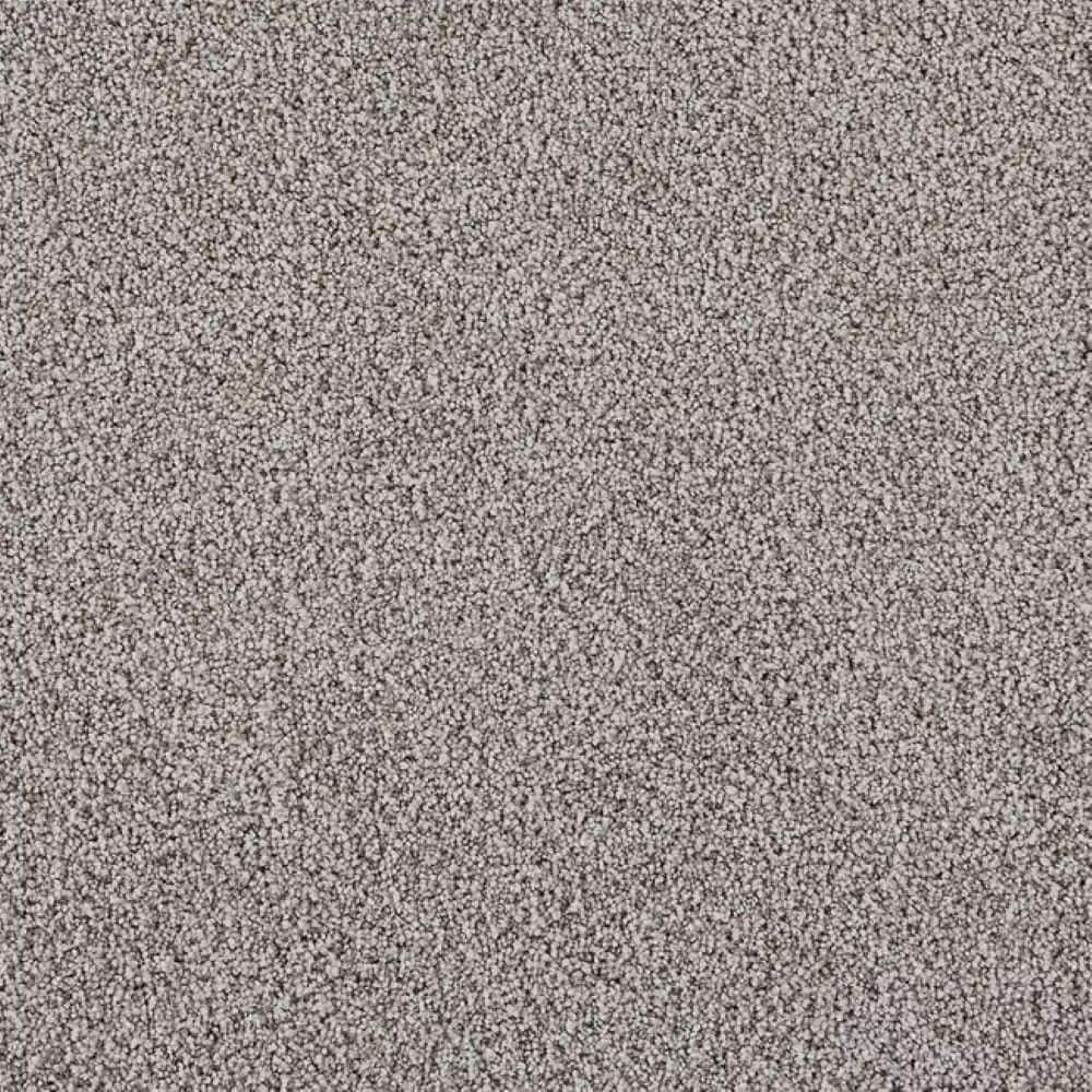 8 in. x 8 in. Texture Carpet Sample-Velvetine III-Color Ember price history on PriceWatchPro
