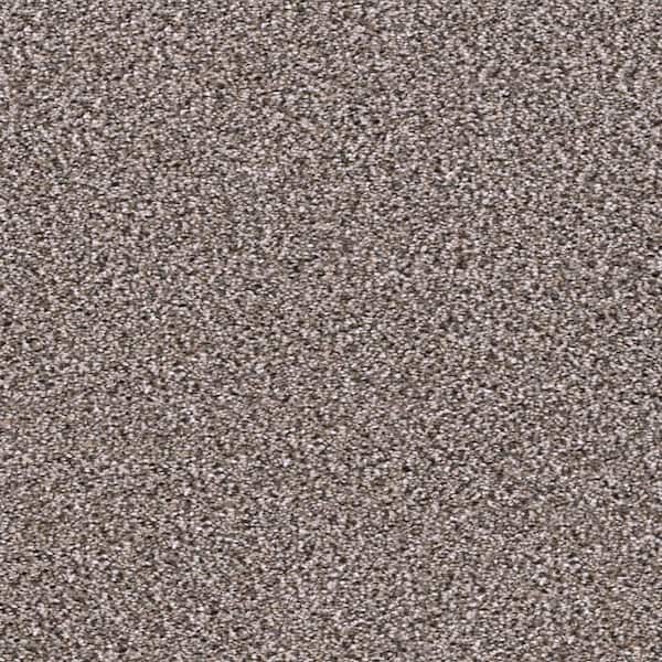 Home Decorators Collection 8 in. x  8 in. Texture Carpet Sample - Affectionate II -Color Charmed