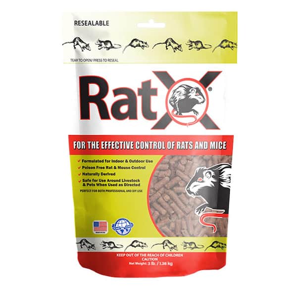 rodent poison