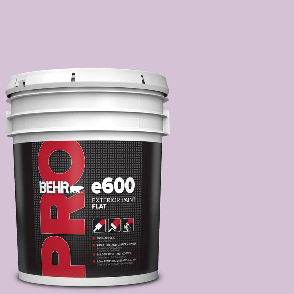 5 gal. #M100-2 Seedless Grape Flat Exterior Paint price history on PriceWatchPro