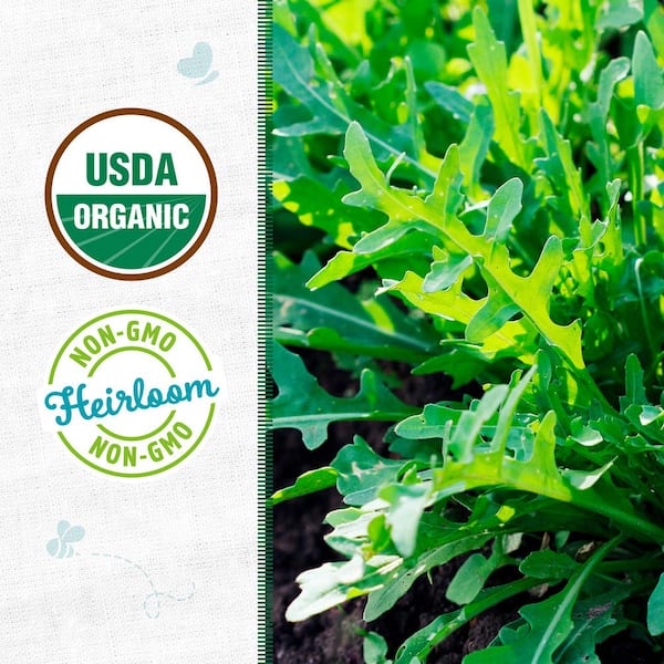Back to the Roots Organic Roquette Arugula Seed (1-Pack) 46018