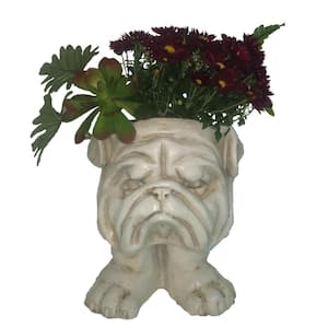 13 in. Antique White Bulldog Muggly Planter Statue Holds 4 in. Pot
